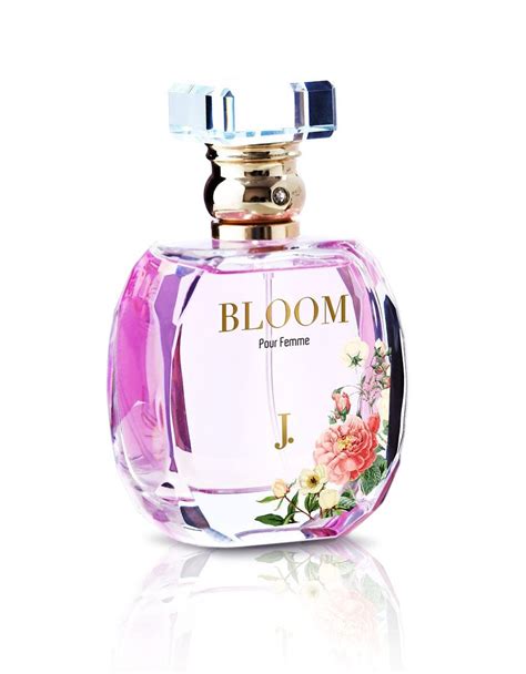 replica perfumes in pakistan|pakistani perfumes for women.